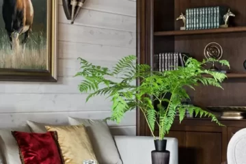 Красный Бор - туристический комплекс в Беларуси