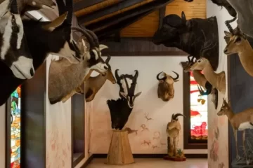 Красный Бор - туристический комплекс в Беларуси