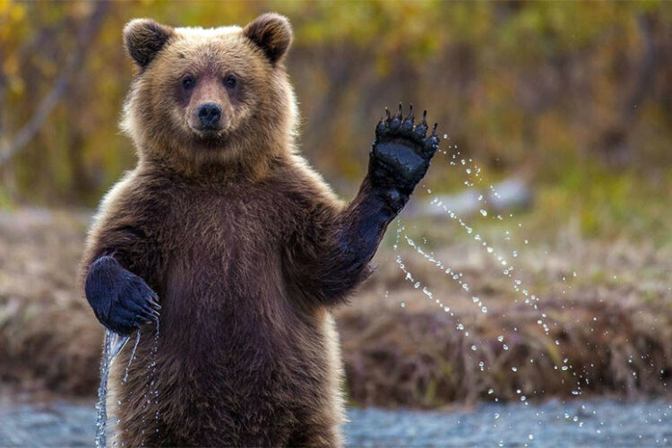 Скоро весна