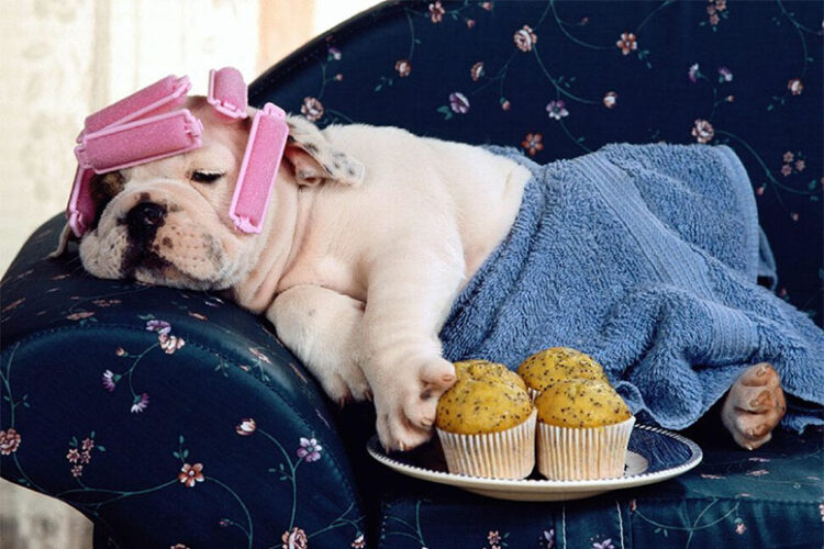 Выходные и праздничные дни в марте 2024